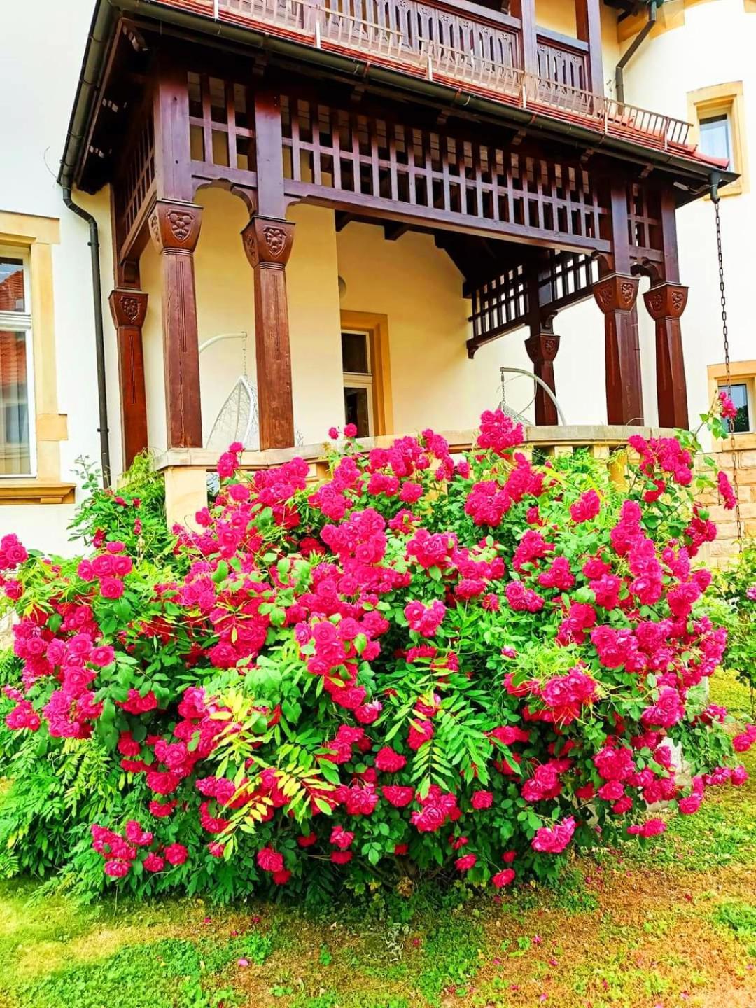 Hotel Palacyk Легница Екстериор снимка